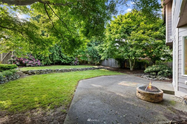a view of a yard with plants and trees