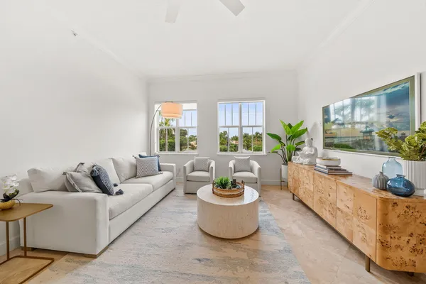 a living room with furniture and a potted plant