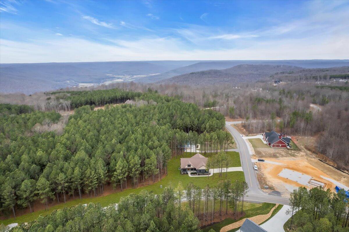 3200 Crockett Pointe Jasper, TN 37347 - Photo 57 of 77 55-DJI_0976