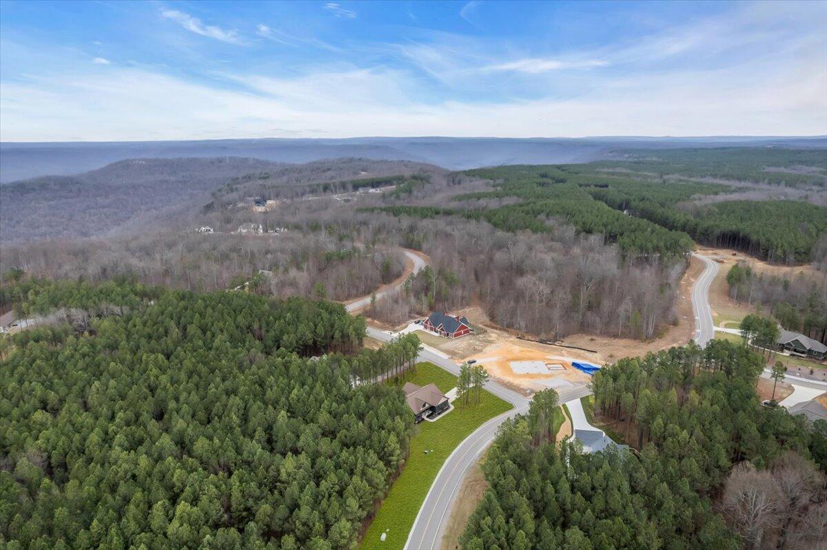 3200 Crockett Pointe Jasper, TN 37347 - Photo 58 of 77 56-DJI_0979