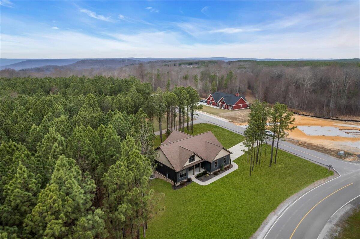 3200 Crockett Pointe Jasper, TN 37347 - Photo 9 of 77 58-DJI_0985