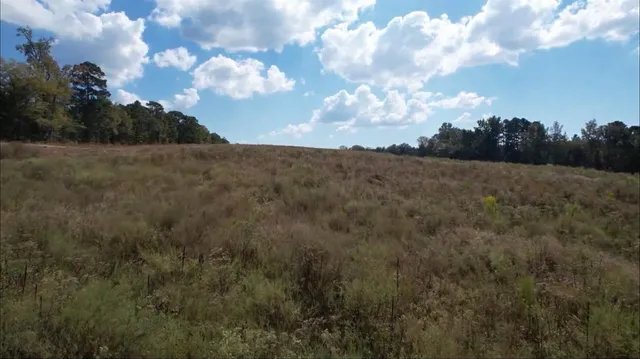 a view of a field of grass and trees
