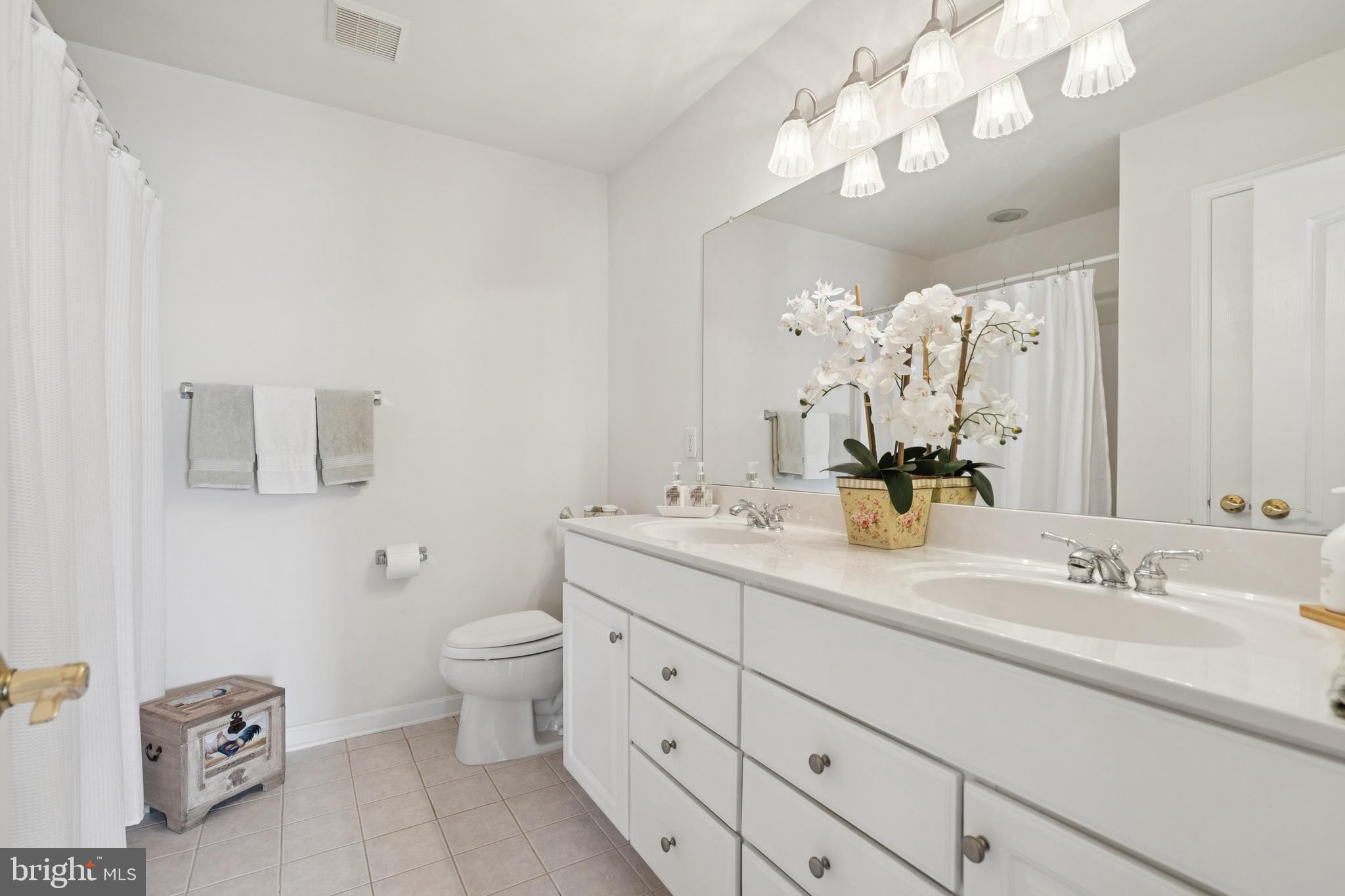 217 Cleveland Avenue Riverside, NJ 08075 - Photo 20 of 25 a bathroom with a double vanity sink mirror and toilet