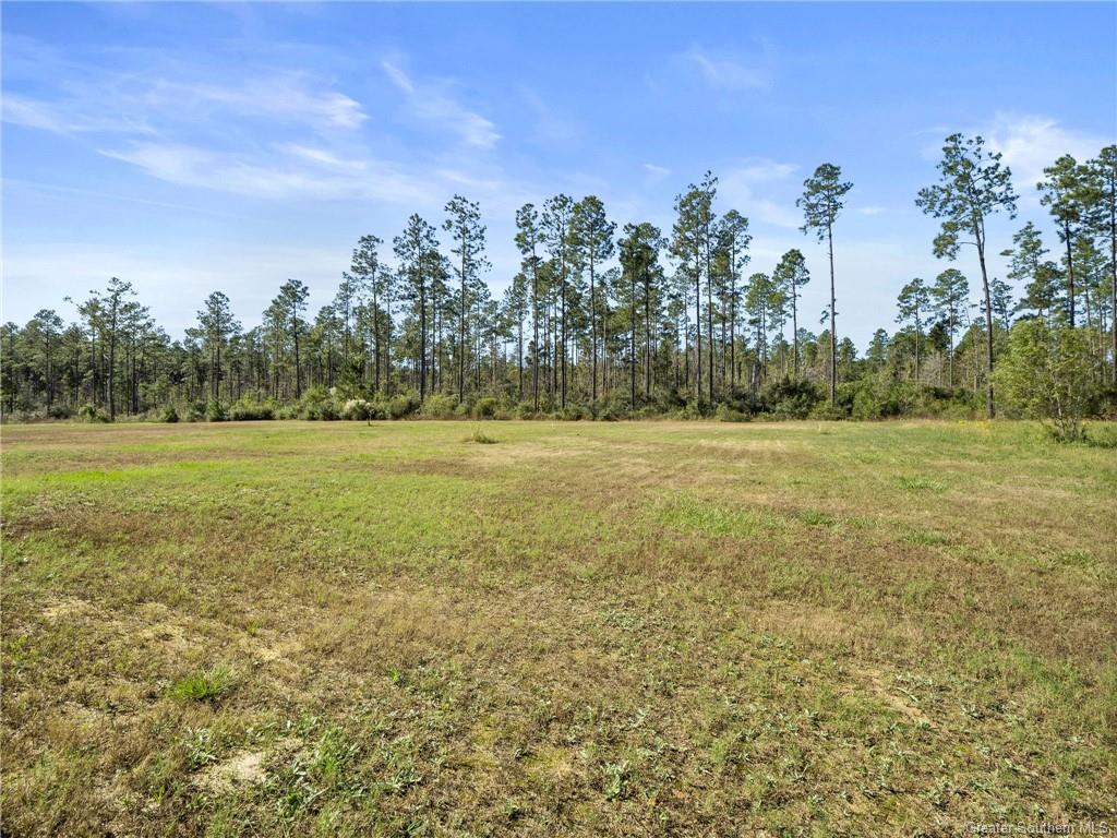 1352 Goodeaux Road Longville, LA 70652 - Photo 19 of 20 Gallery Image 19