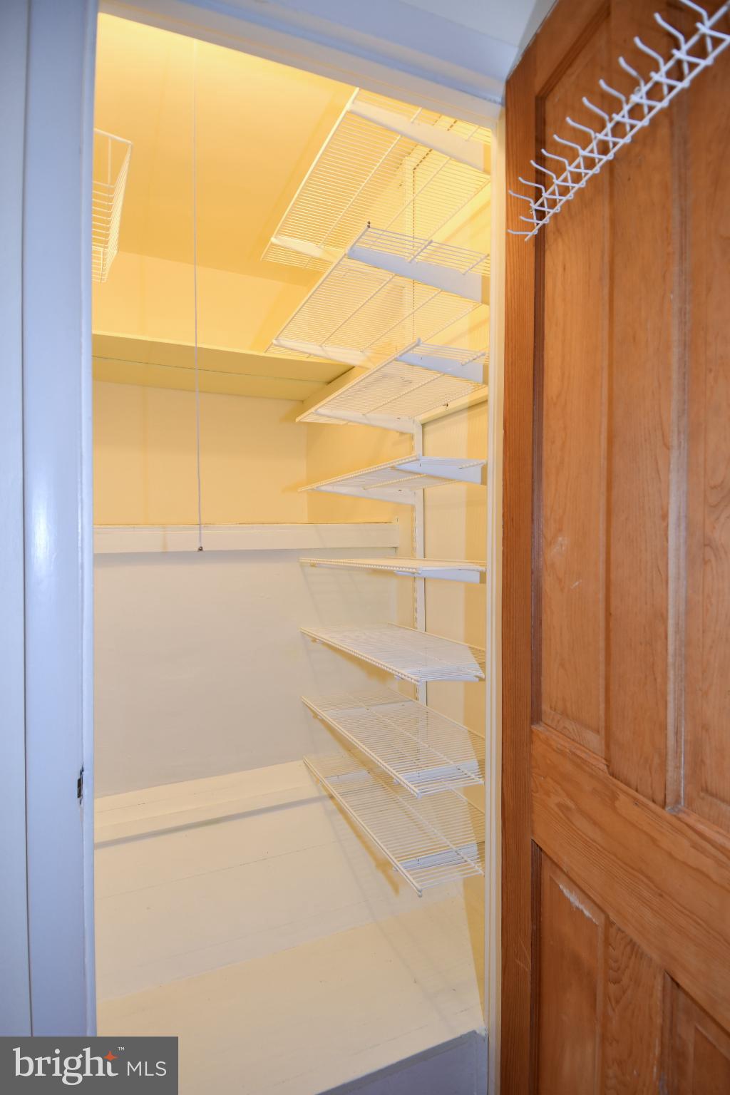 8520 Geren Road, Unit 183 Silver Spring, MD 20901 - Photo 31 of 34 a view of walk in closet with empty racks