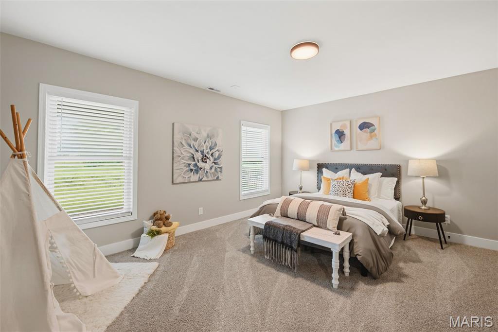 116 Timber Meadows Drive O'Fallon, MO 63368 - Photo 55 of 84