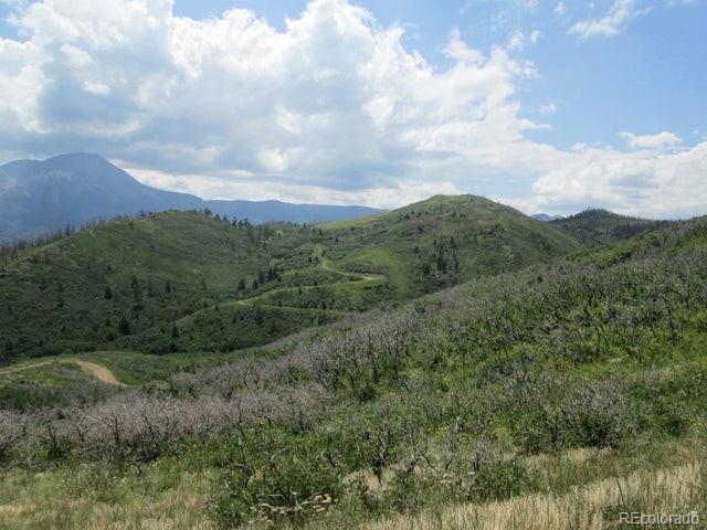 Lot 32 Raspberry Mountain Ranch La Veta, CO 81055 - Photo 2 of 13 a view of a green field with lots of bushes