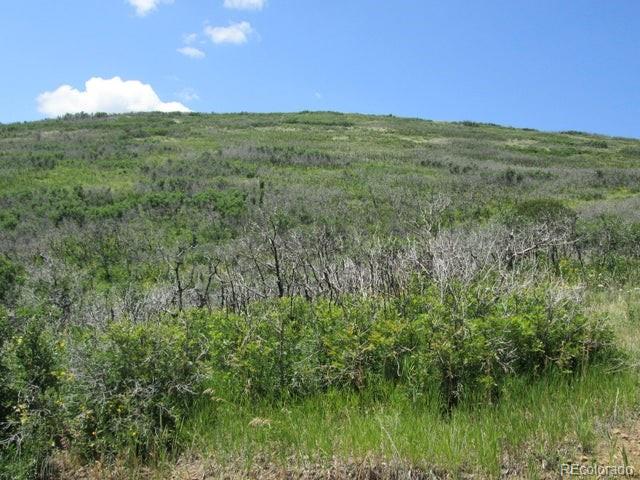 Lot 32 Raspberry Mountain Ranch La Veta, CO 81055 - Photo 6 of 13 a view of a lush green space with sea