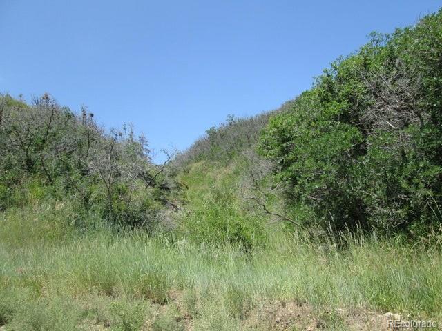 Lot 32 Raspberry Mountain Ranch La Veta, CO 81055 - Photo 8 of 13 a view of a lush green space