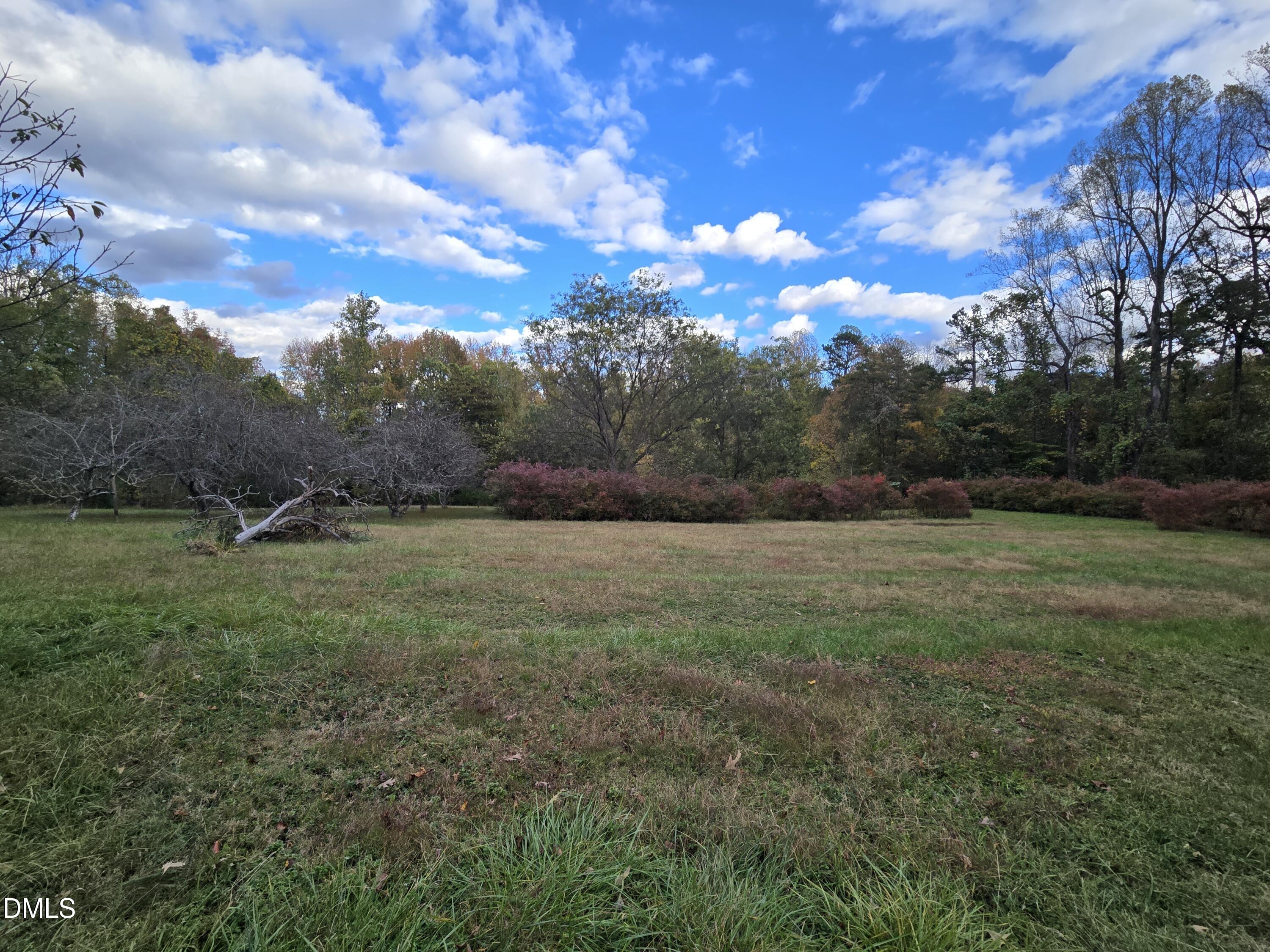 0 Spanish Oak Road Elon, NC 27244 - Photo 4 of 9 2025-10-30 16.33.22