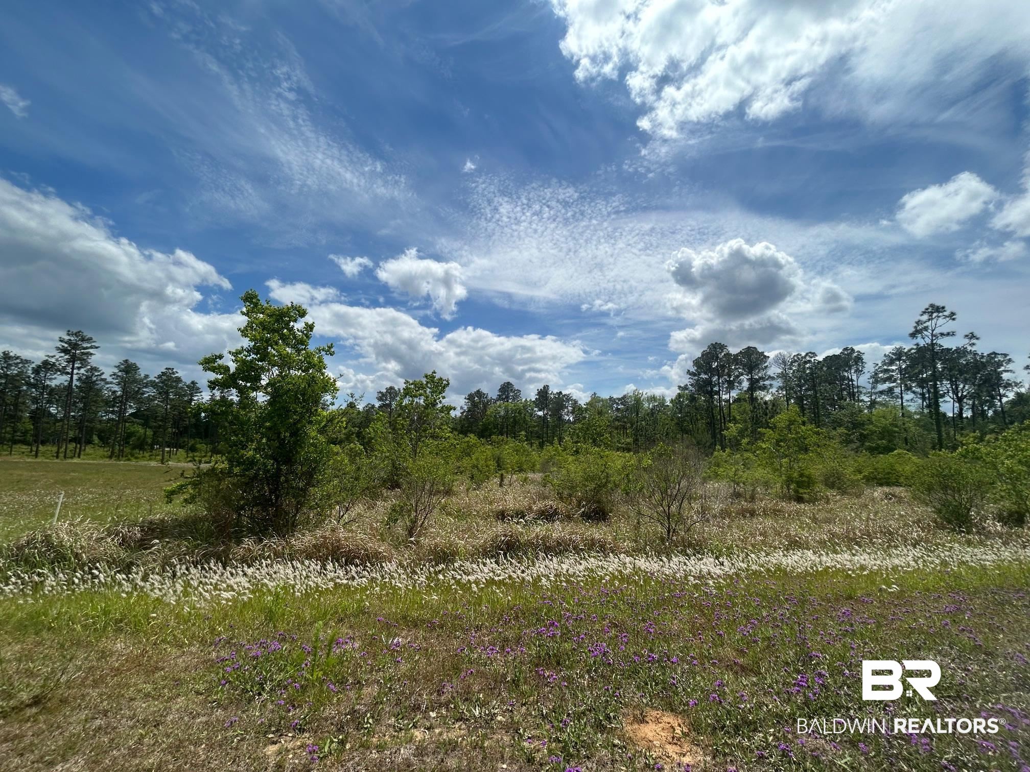 0 Hampton Road Mobile, AL 36608 - Photo 7 of 13