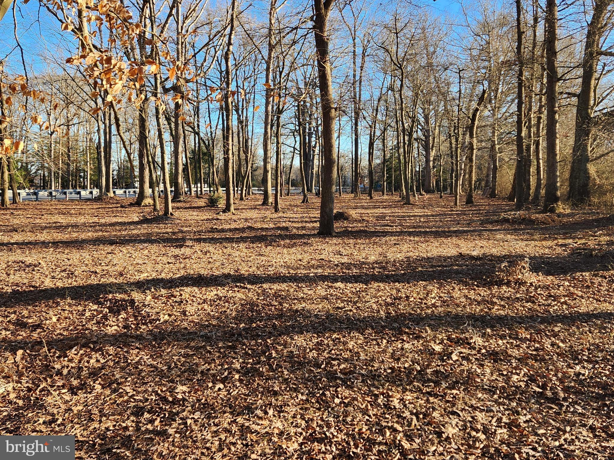 Ocean Gateway Trappe, MD 21673 - Photo 2 of 3 a view of road with trees