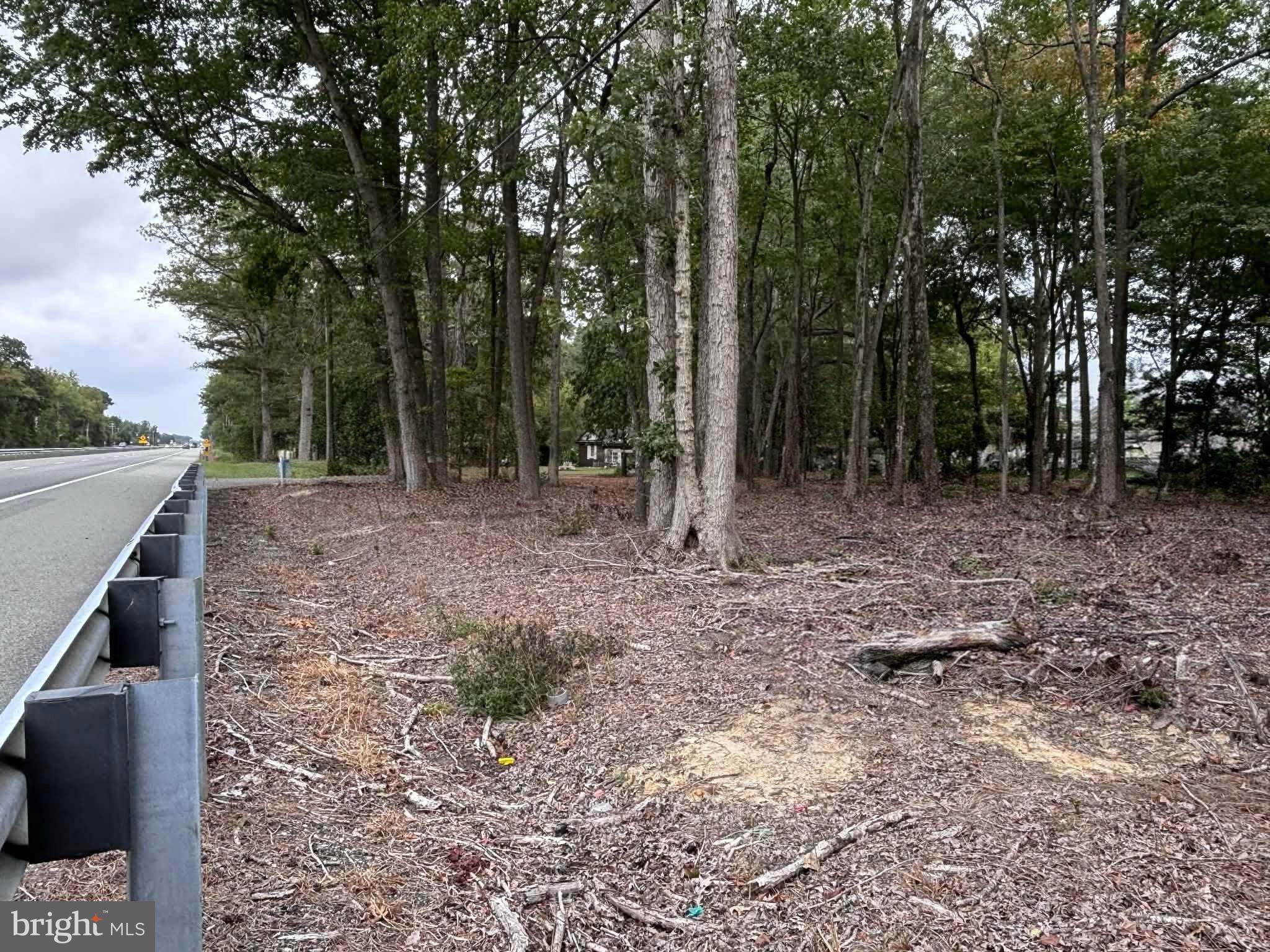 Ocean Gateway Trappe, MD 21673 - Photo 3 of 3 a view of a forest with trees in the background