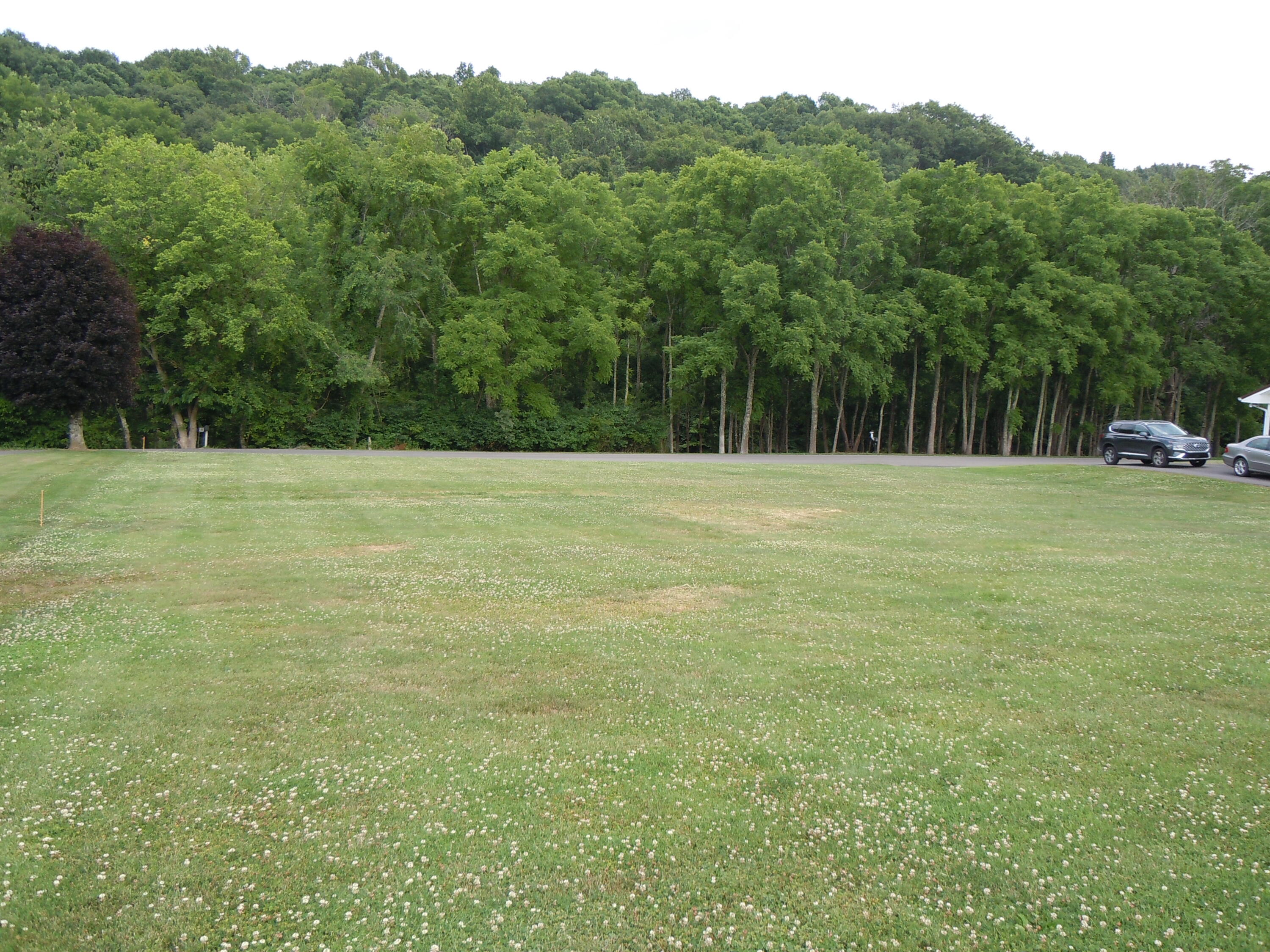 874 Fox Valley Road Marion, VA 24354 - Photo 6 of 44 DSCN2701