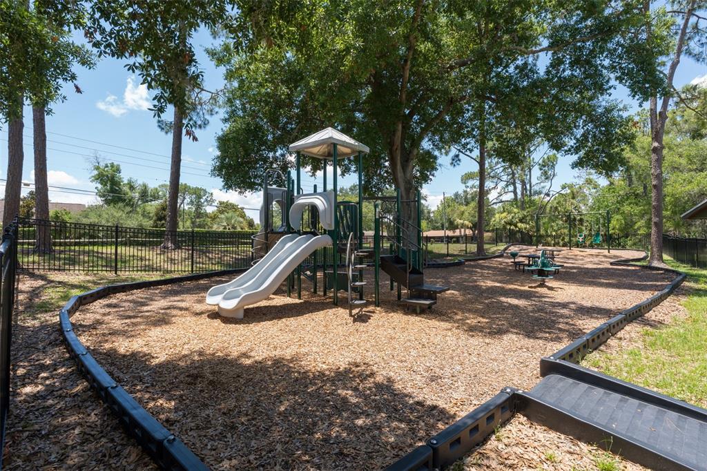 2512 Tryon Place Windermere, FL 34786 - Photo 69 of 69