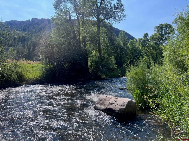 a big yard with lots of green space