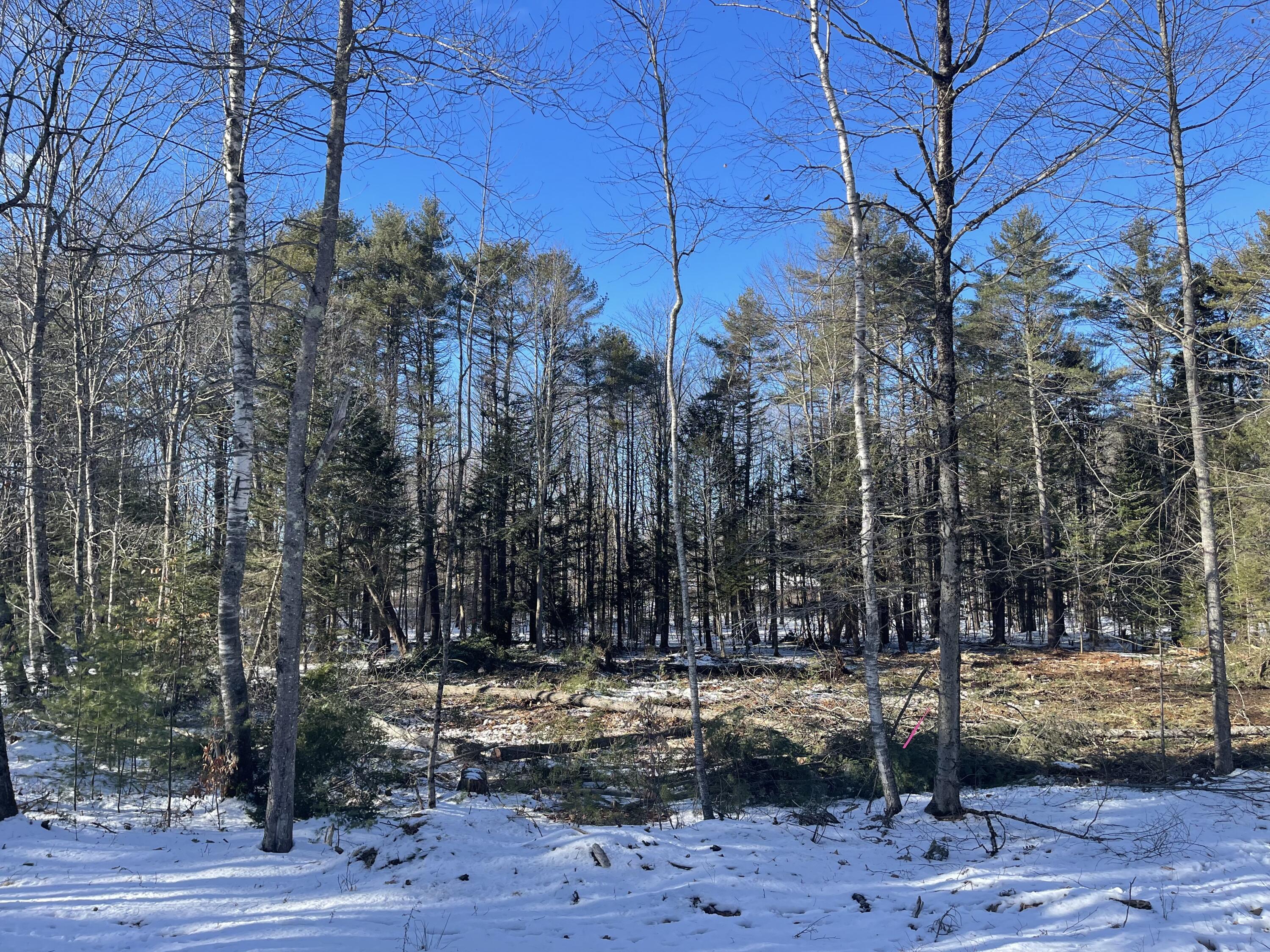 38 Frederick Drive Freeport, ME 04032 - Photo 12 of 13 IMG_1090