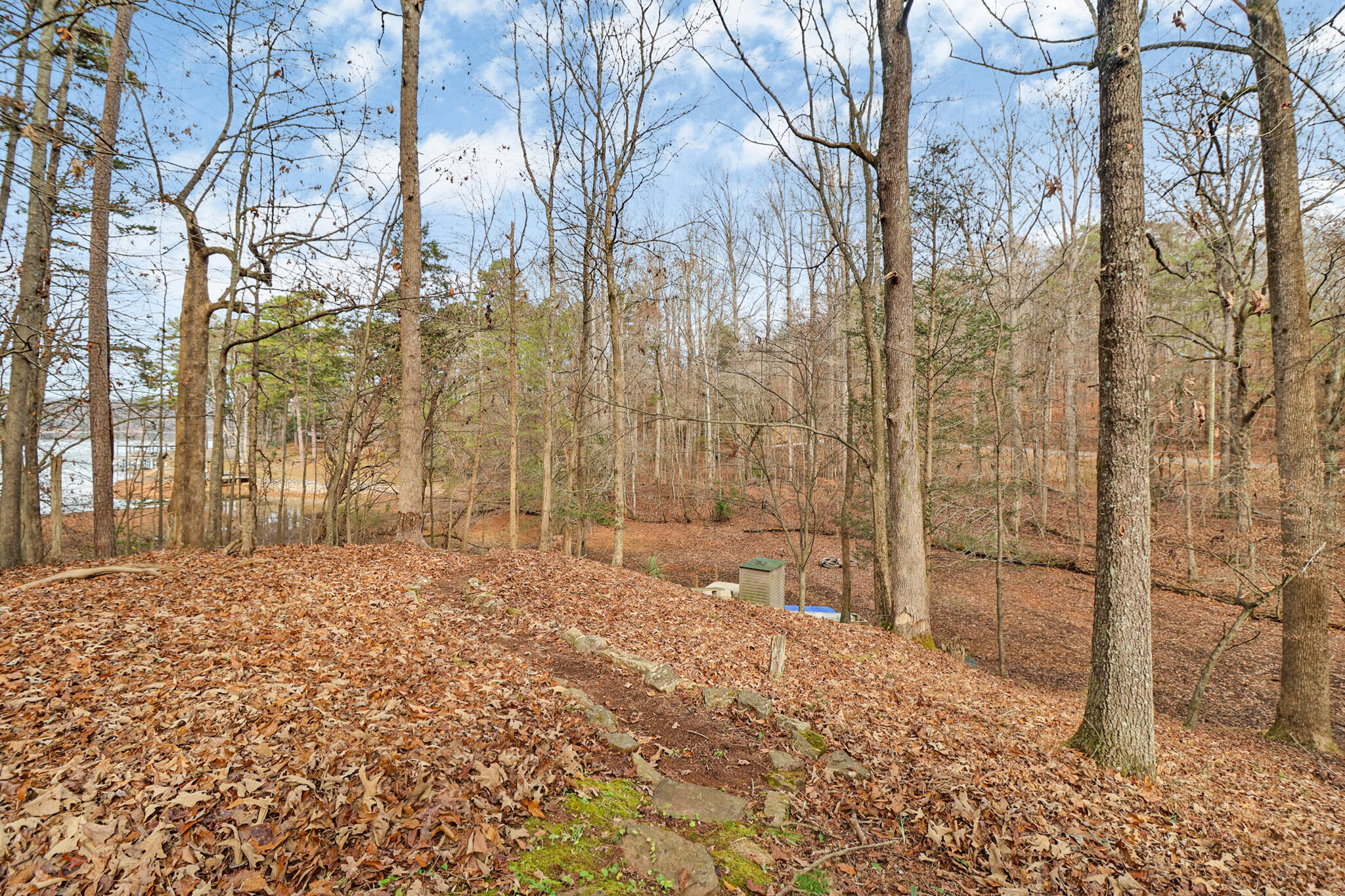 1325 Torbett Road Spring City, TN 37381 - Photo 29 of 34 if1a0128-if1a0132
