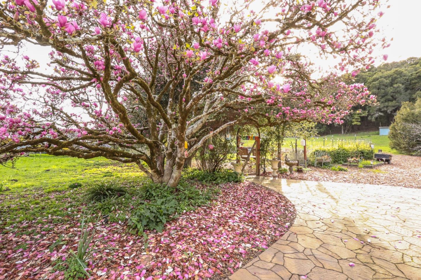 3247 Soquel San Jose Road Soquel, CA 95073 - Photo 25 of 34 a pathway with a yard