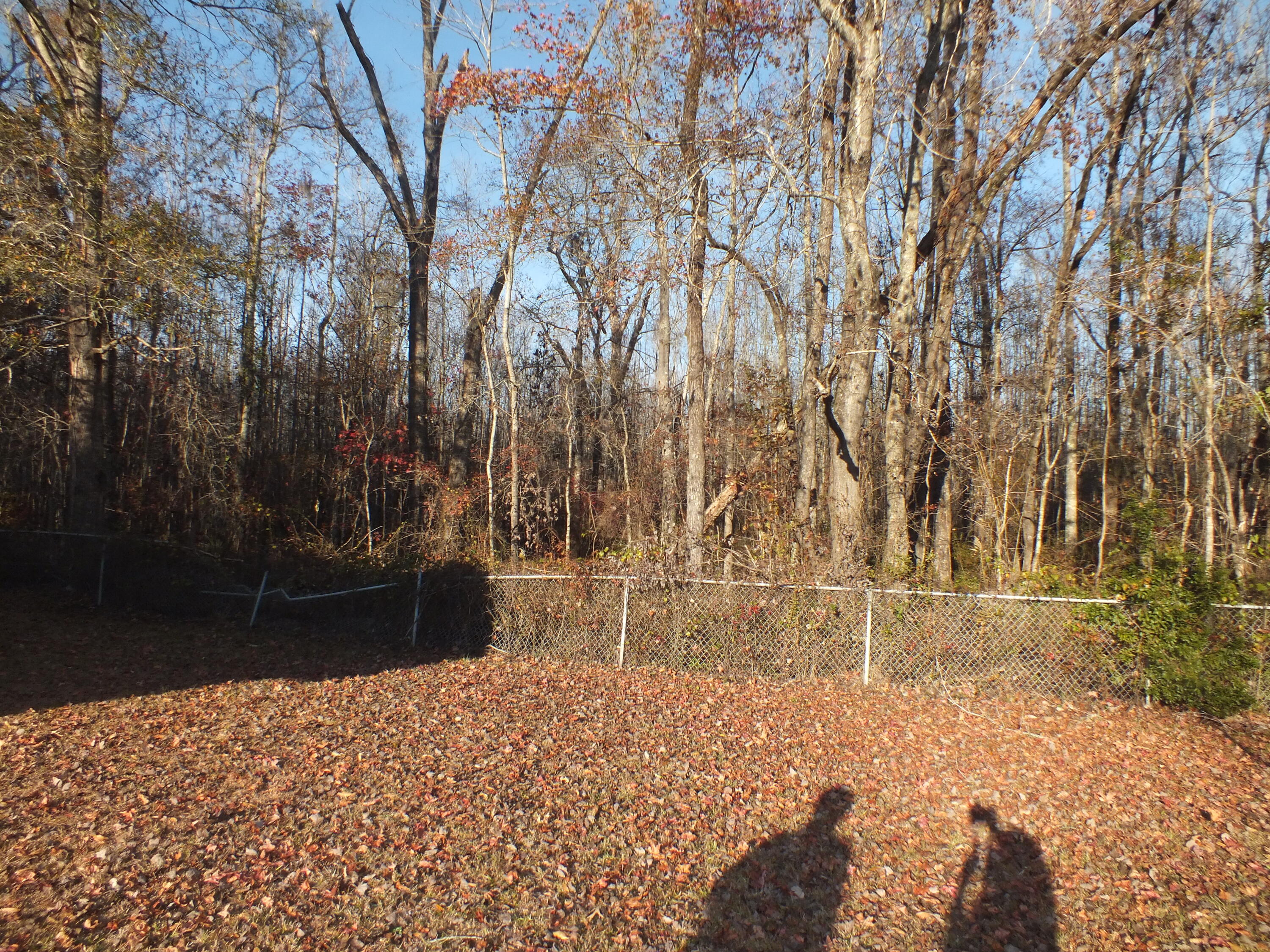 133 Utsey Hill Road St. George, SC 29477 - Photo 14 of 15 DSCF4521