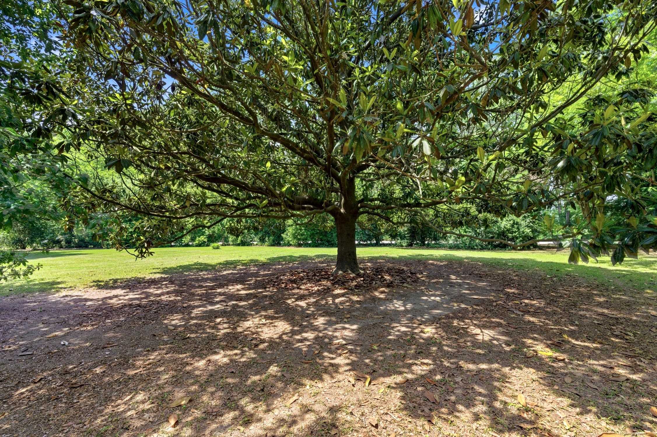 902 Grange Road Aynor, SC 29511 - Photo 60 of 70