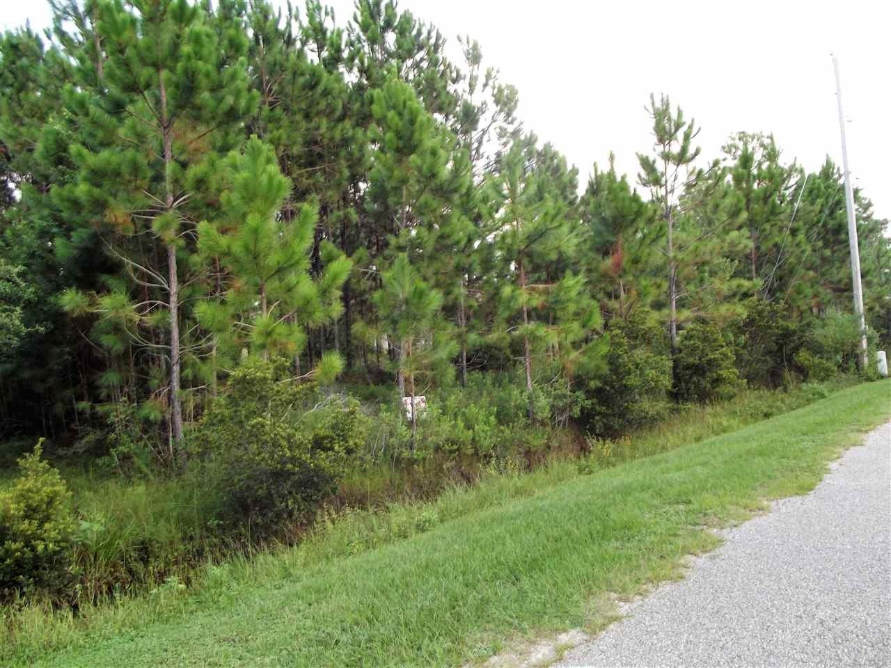 1096 Pearson Road Milton, FL 32583 - Photo 8 of 15 Gallery Image 8