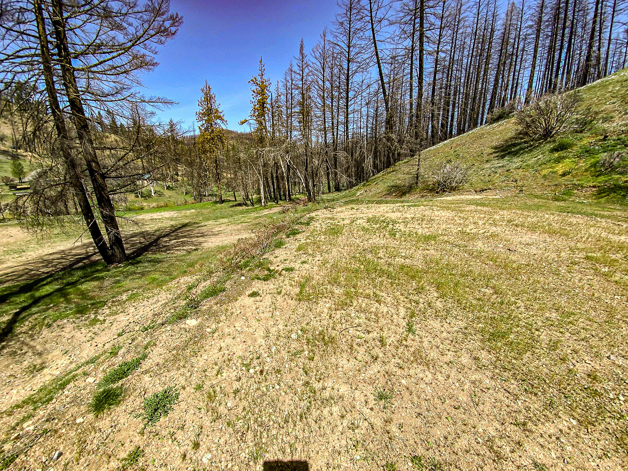 26670 Upper Mad River Road Mad River, CA 95552 - Photo 4 of 21 26670 Mad River Road (2)