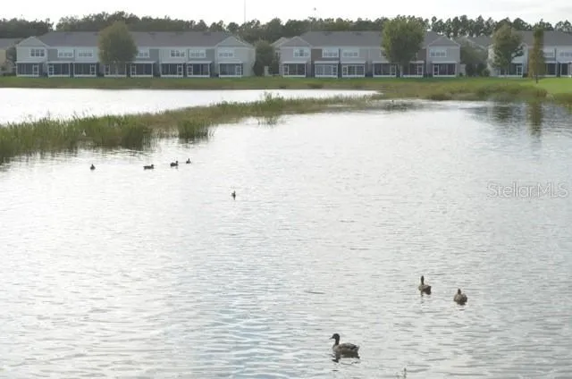 a view of a lake view