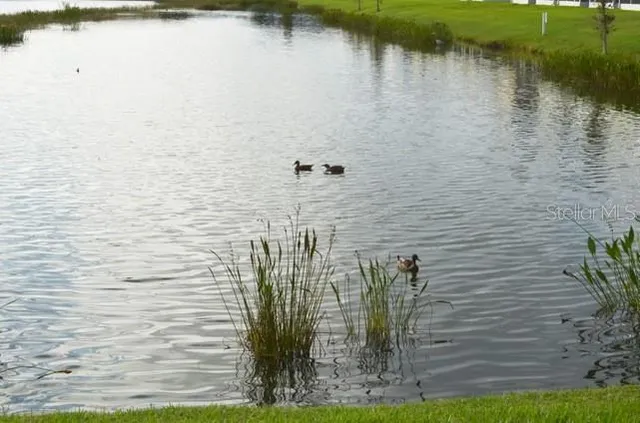 an aerial view of a city with lots of residential buildings ocean and mountain view in back