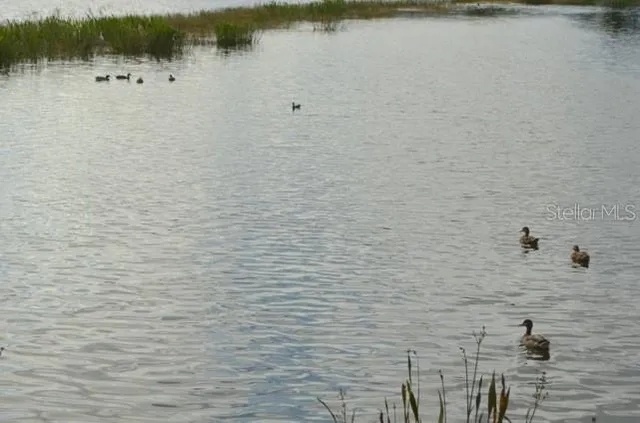a front view of a house with a yard table and chairs