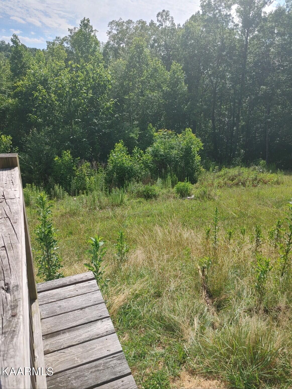 424 Mt Zion Road Northwest Ten Mile, TN 37880 - Photo 11 of 14 1324C0CA-D925-48DB-9CE8-D5A92CC46BFB