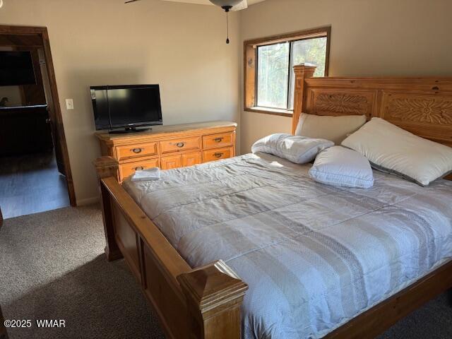 2832 View Way Lakeside, AZ 85929 - Photo 25 of 50