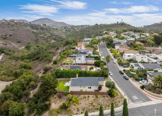 an aerial view of green landscape with trees houses and mountain view