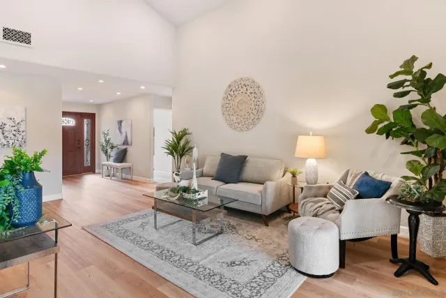 a living room with furniture potted plant and a rug