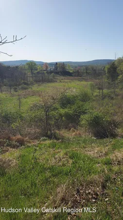 a view of a lush green field