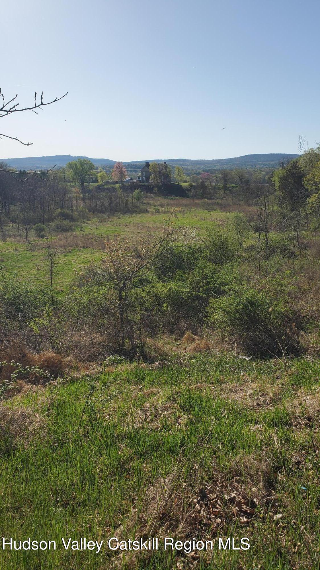 a view of a lush green field