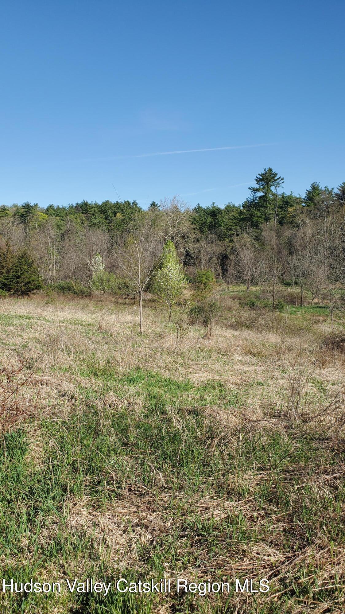 Tbd Boice Mill Road Kerhonkson, NY 12446 - Photo 2 of 7 boicemill7