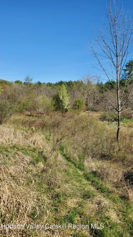 a view of a yard with a tree