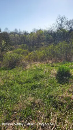a view of a lush green field