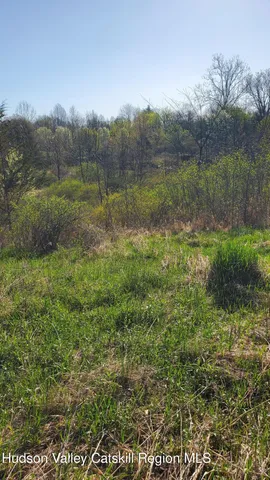 a view of a lush green field