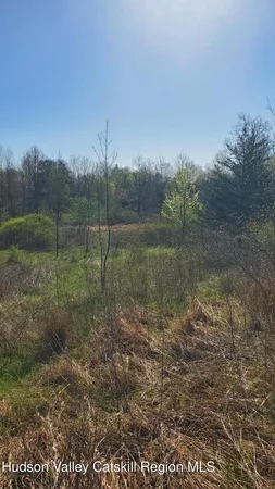a view of a field