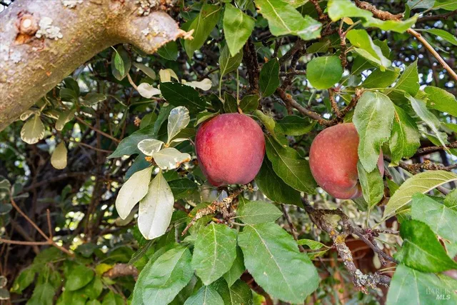 $1,475,000 | 421 Tee Drive, Healdsburg, CA 95448