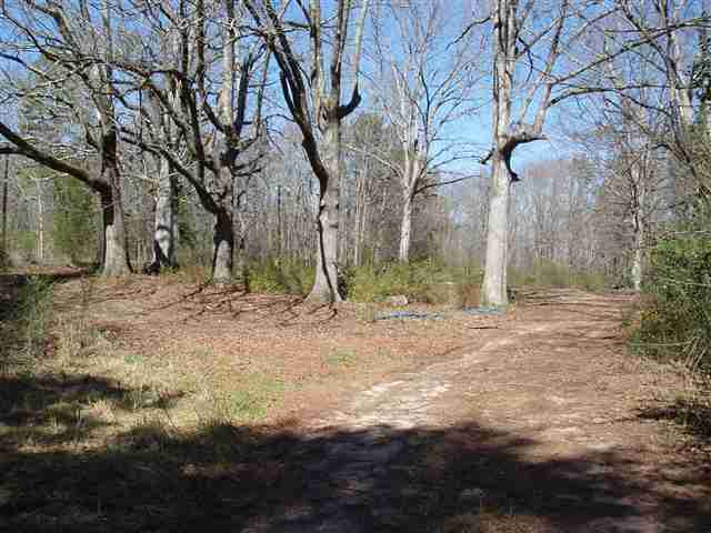 648 Mt Olivet Road Six Mile, SC 29682 - Photo 2 of 10 Gallery Image 2