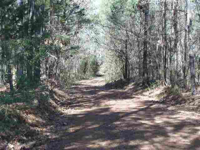 648 Mt Olivet Road Six Mile, SC 29682 - Photo 3 of 10 Gallery Image 3