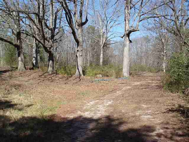 648 Mt Olivet Road Six Mile, SC 29682 - Photo 4 of 10 Gallery Image 4