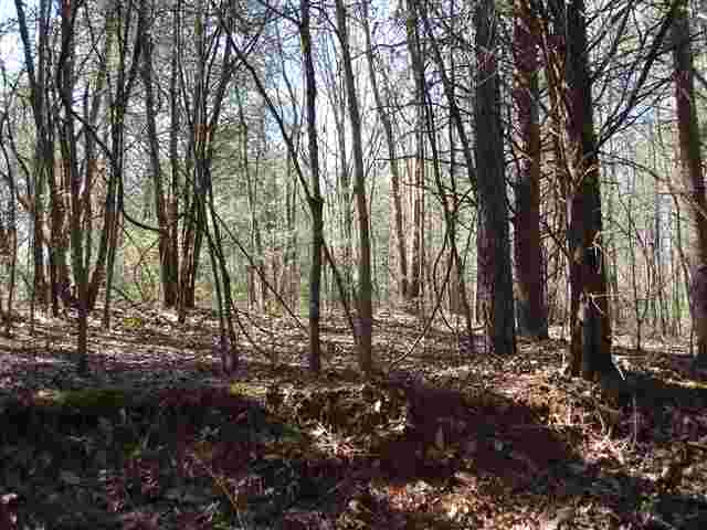 648 Mt Olivet Road Six Mile, SC 29682 - Photo 5 of 10 Gallery Image 5