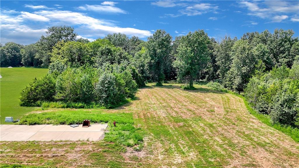 Lot 9 Southwest 11th Road Warrensburg, MO 64093 - Photo 22 of 28 Gallery Image 22