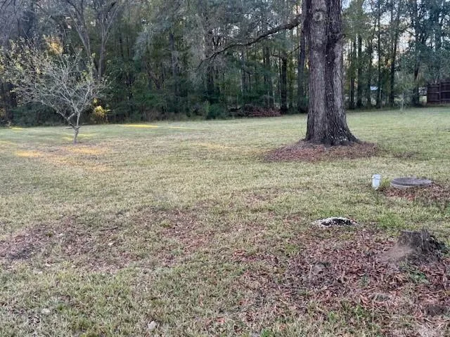 $57,900 | 20485 Bud James Lane, Ponchatoula, LA 70454