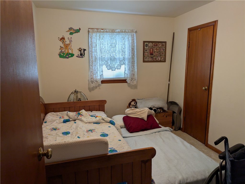409 East Adams Street Paris, IL 61944 - Photo 6 of 13