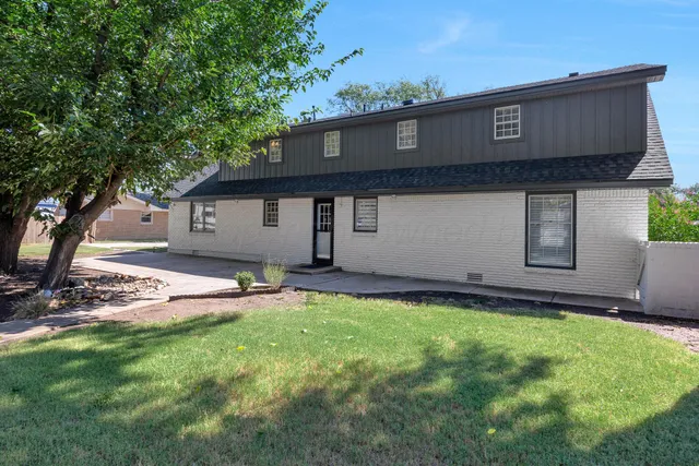a view of a backyard with a large tree